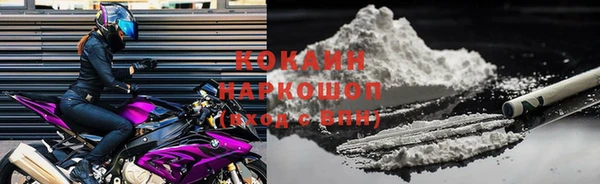 дживик Бородино