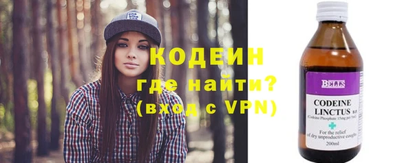 дживик Бородино