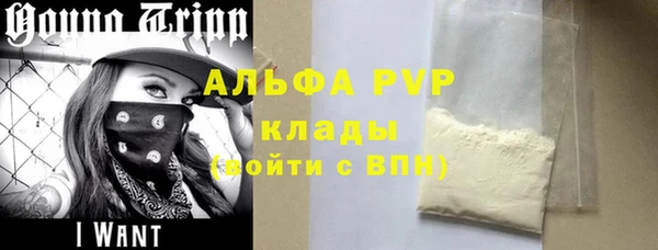 дживик Бородино