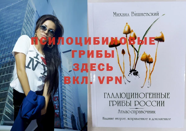 гидропоника Струнино